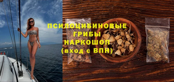 молекула духа Алексеевка