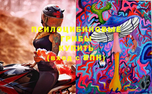 молекула духа Алексеевка
