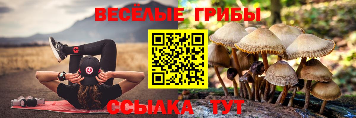 Старая Купавна  Галлюциногенные грибы прущие грибы  Галлюциногенные грибы GOLDEN TEACHER  Вход с VPN 